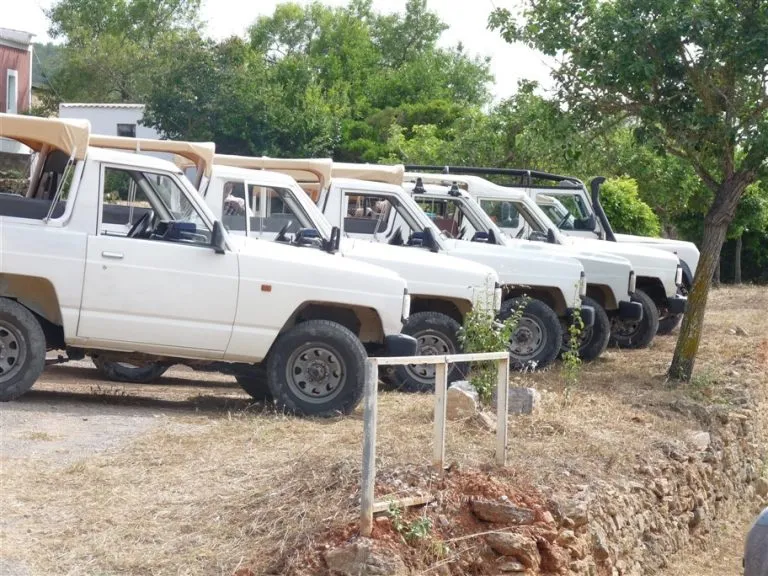Safari in jeep